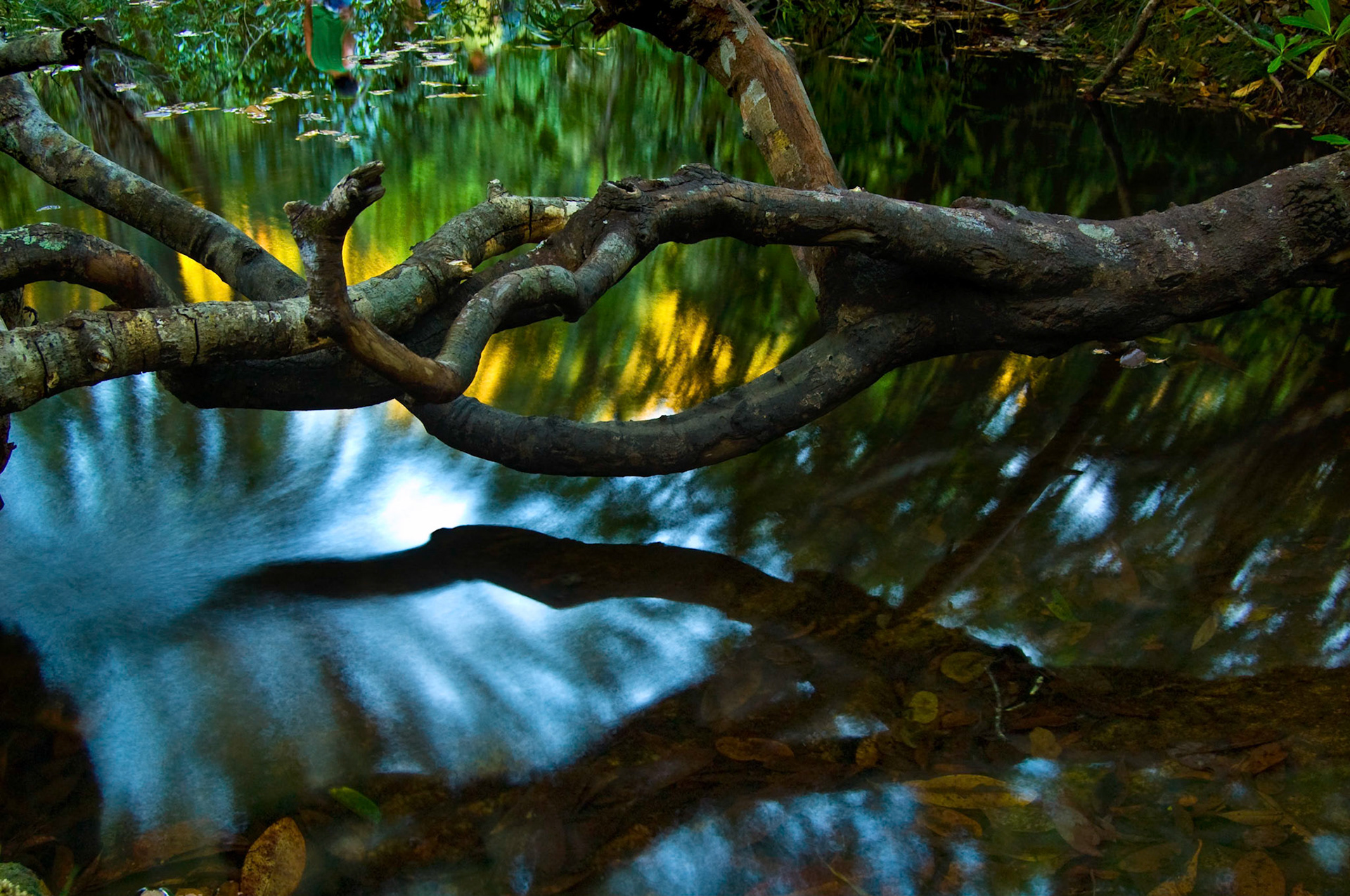 COD:0888_2007 - Rei do Prata - Cavalcante-GO