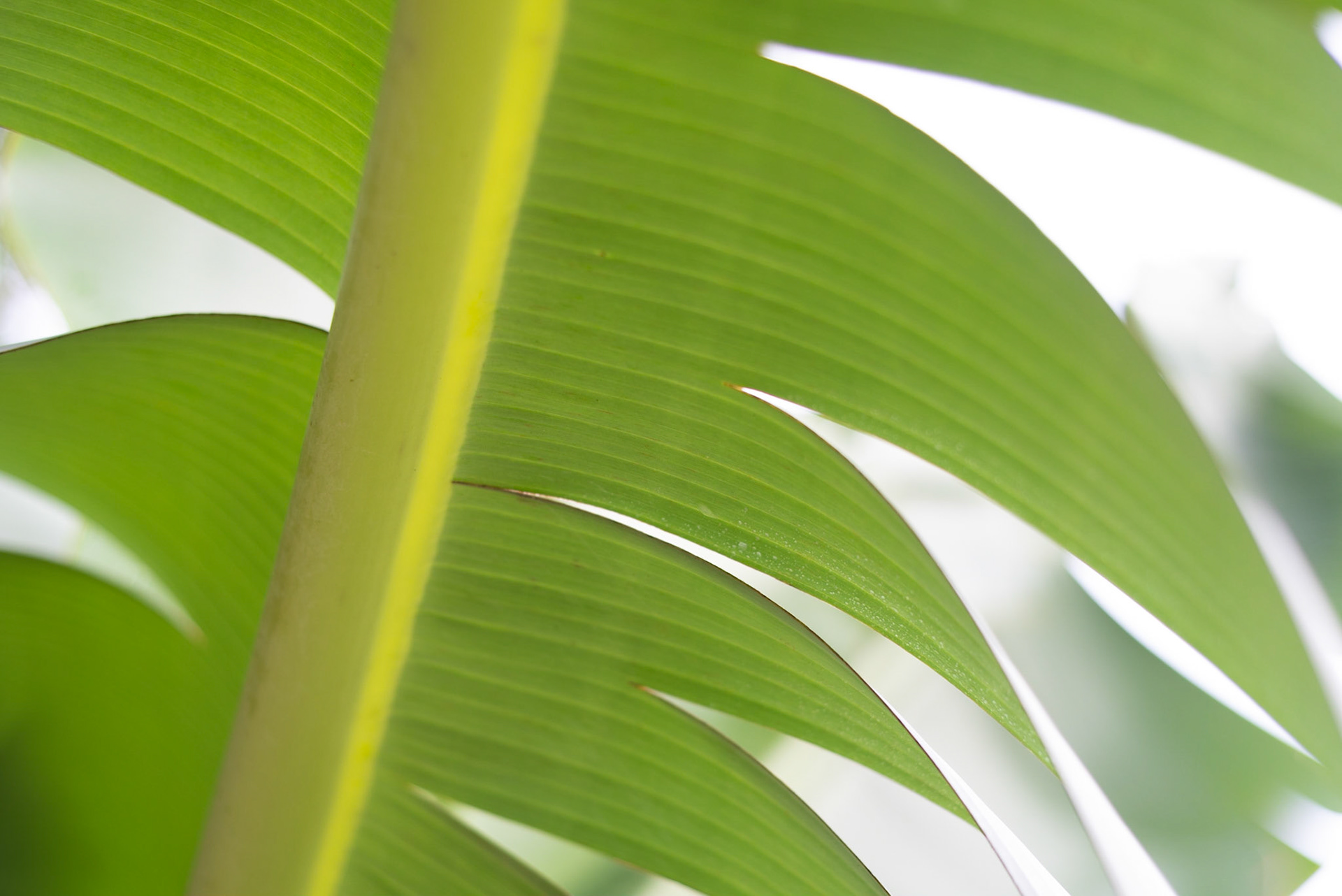 COD:0824_2020 - Teófilo Otoni-MG