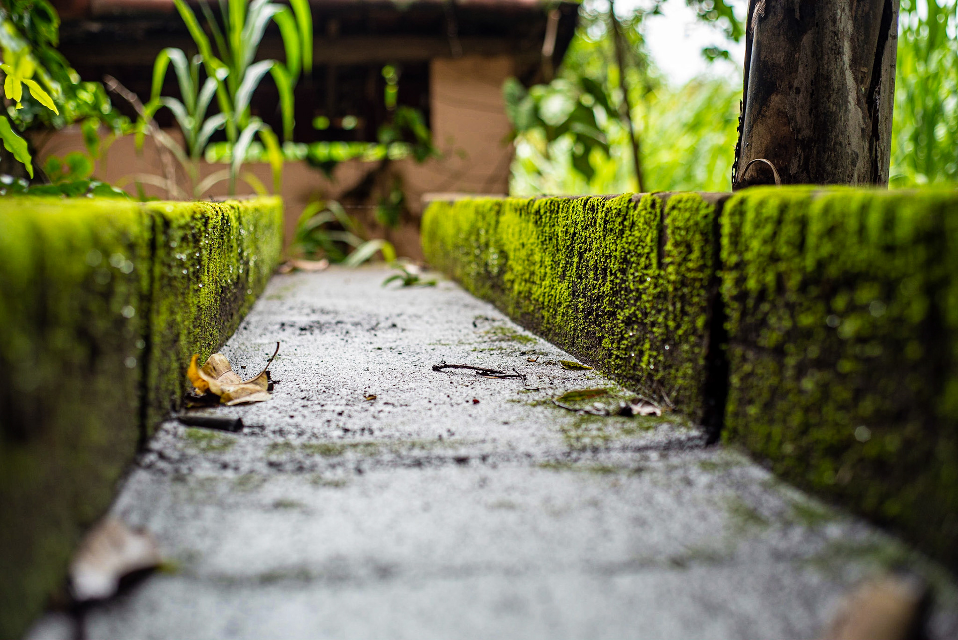 COD:0083_2019 - Ap. de Goiânia-GO