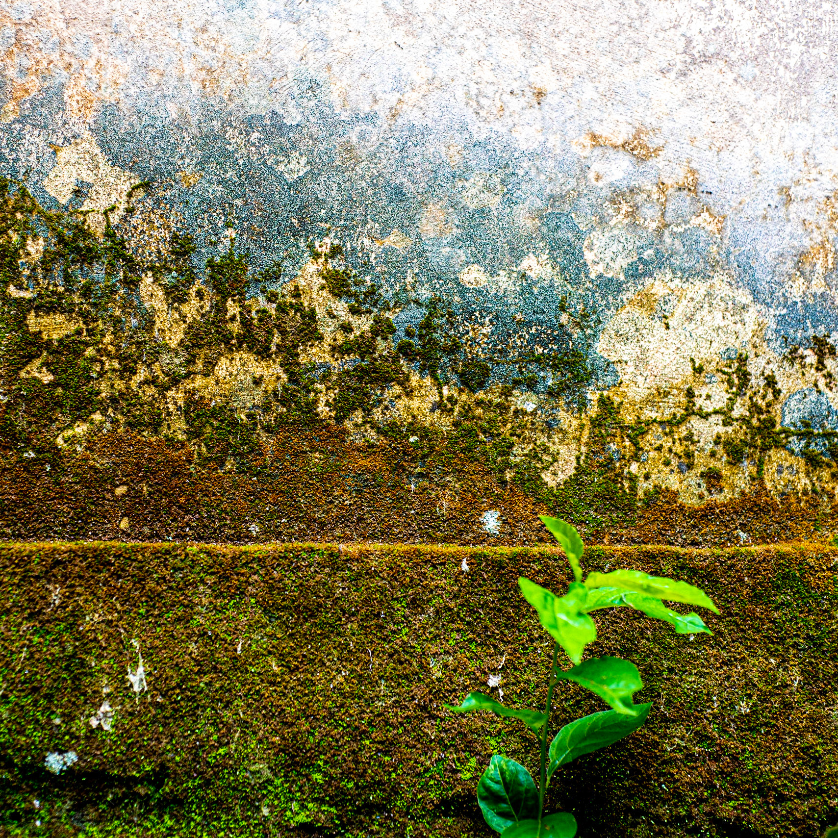 COD:0094_2019 - Ap. de Goiânia-GO