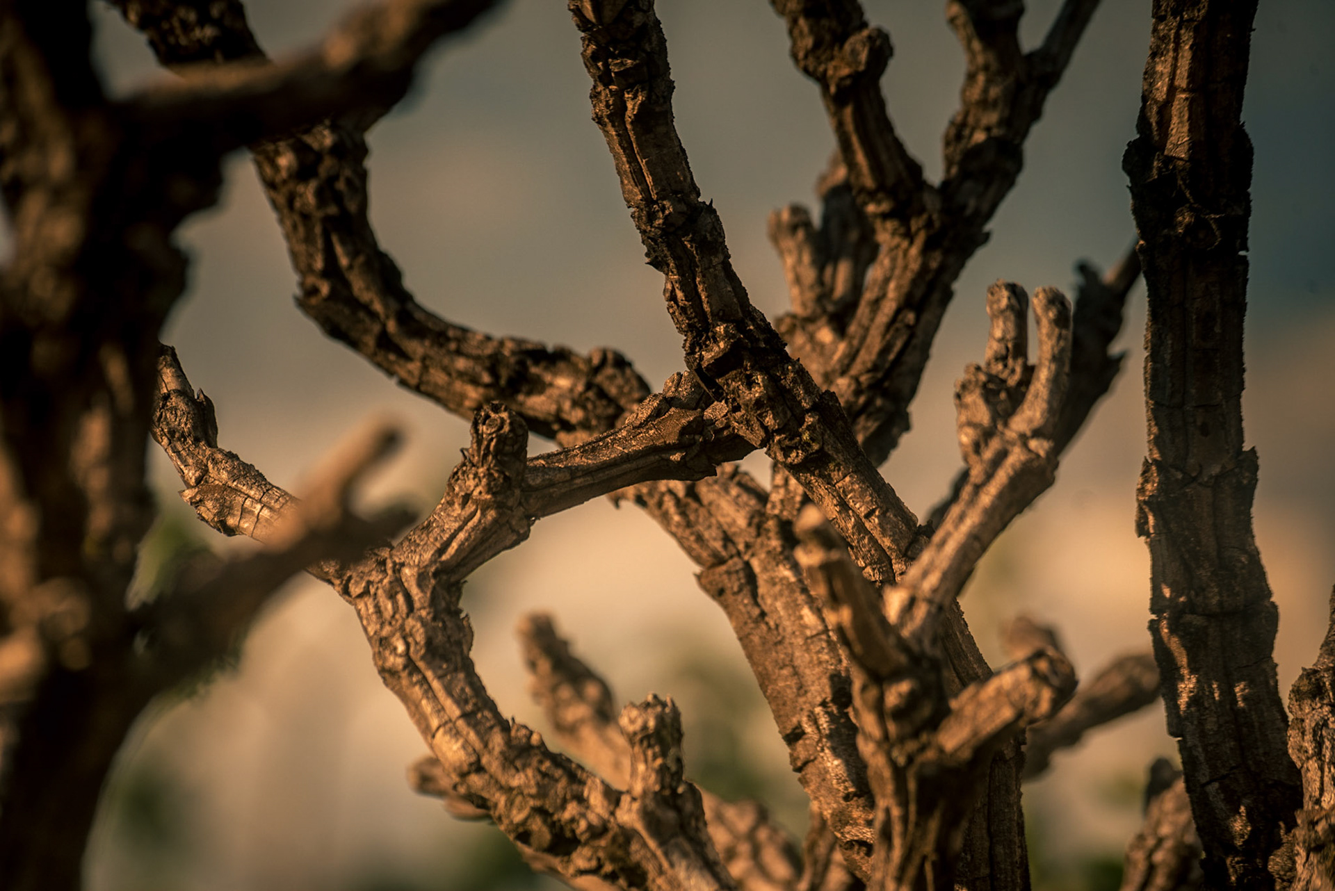 COD:7673_2018 - Pq.Est.Pireneus - Pirenópolis-GO