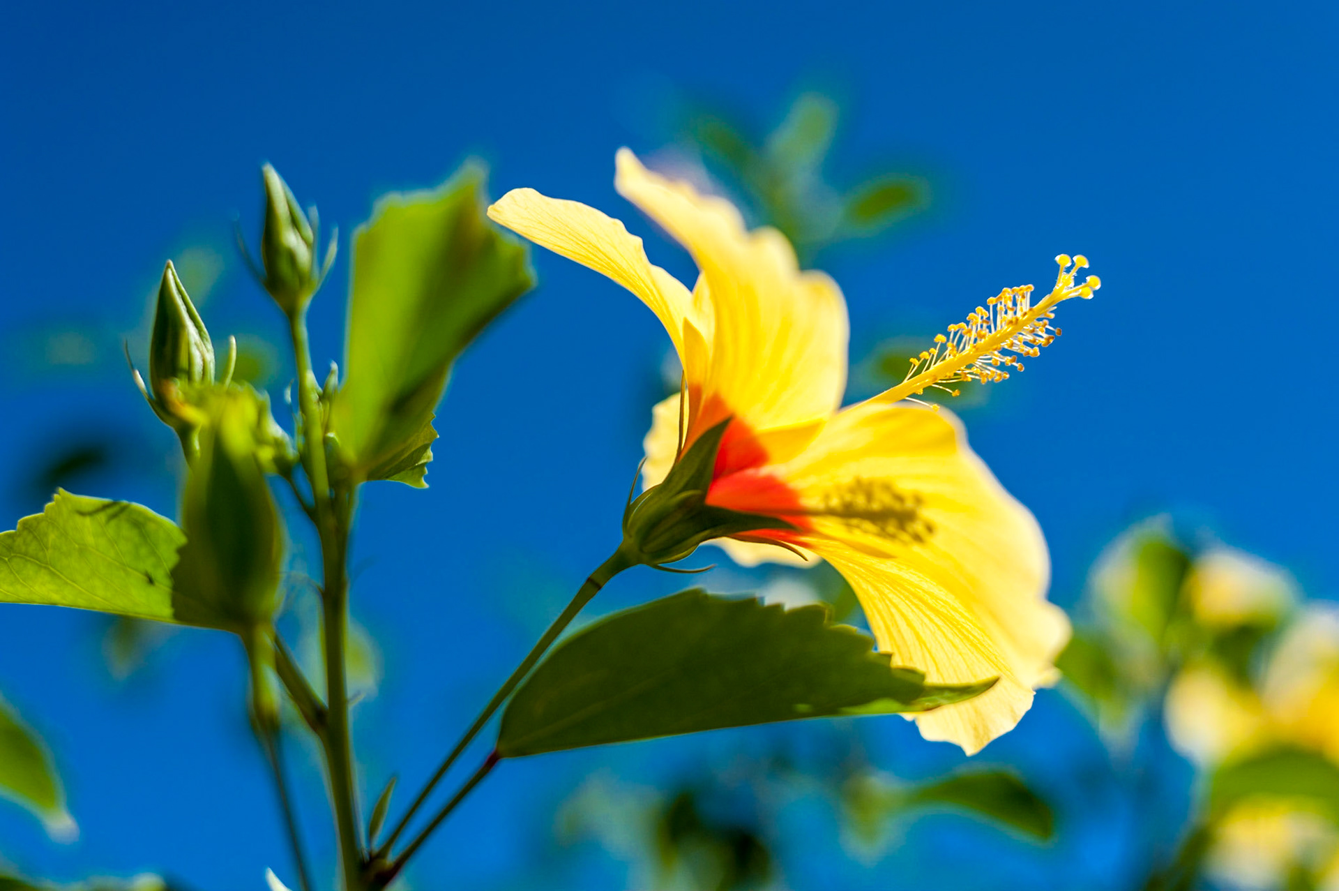 COD:1427_2011 - Prado-BA