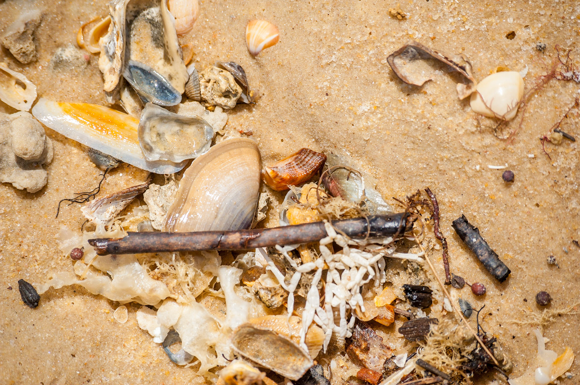 COD:1569_2011 - Ponta do Corumbau-BA