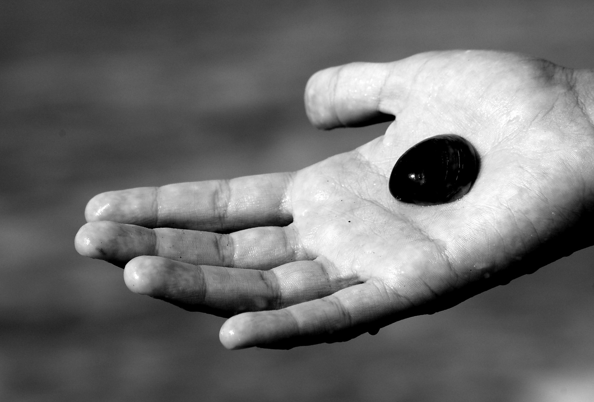 COD:0523_2007 - Concha - Nova Vicosa-BA