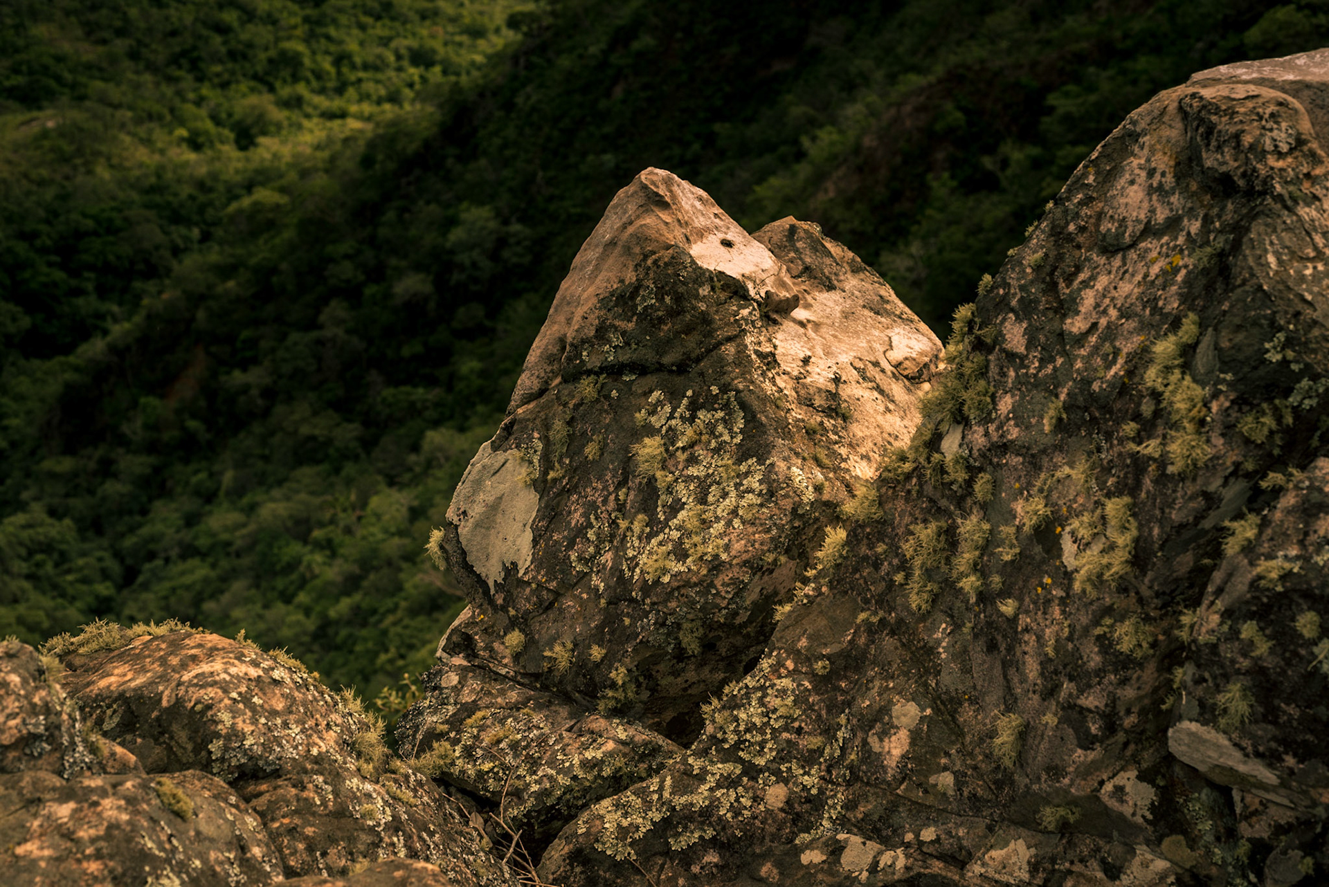 COD:7917_2018 - Ecobocaina - Formosa-GO