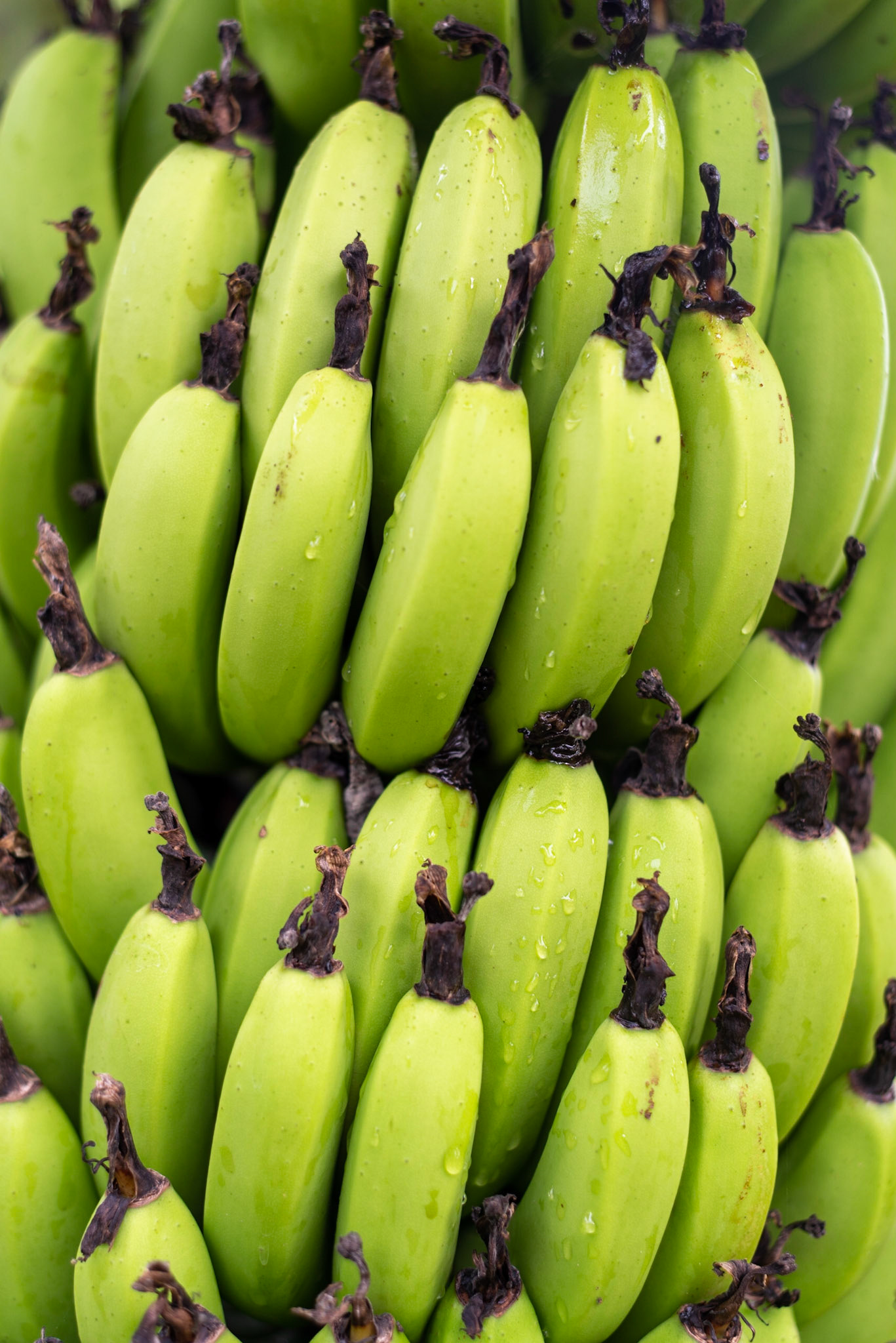 COD:0822_2020 - Teófilo Otoni-MG