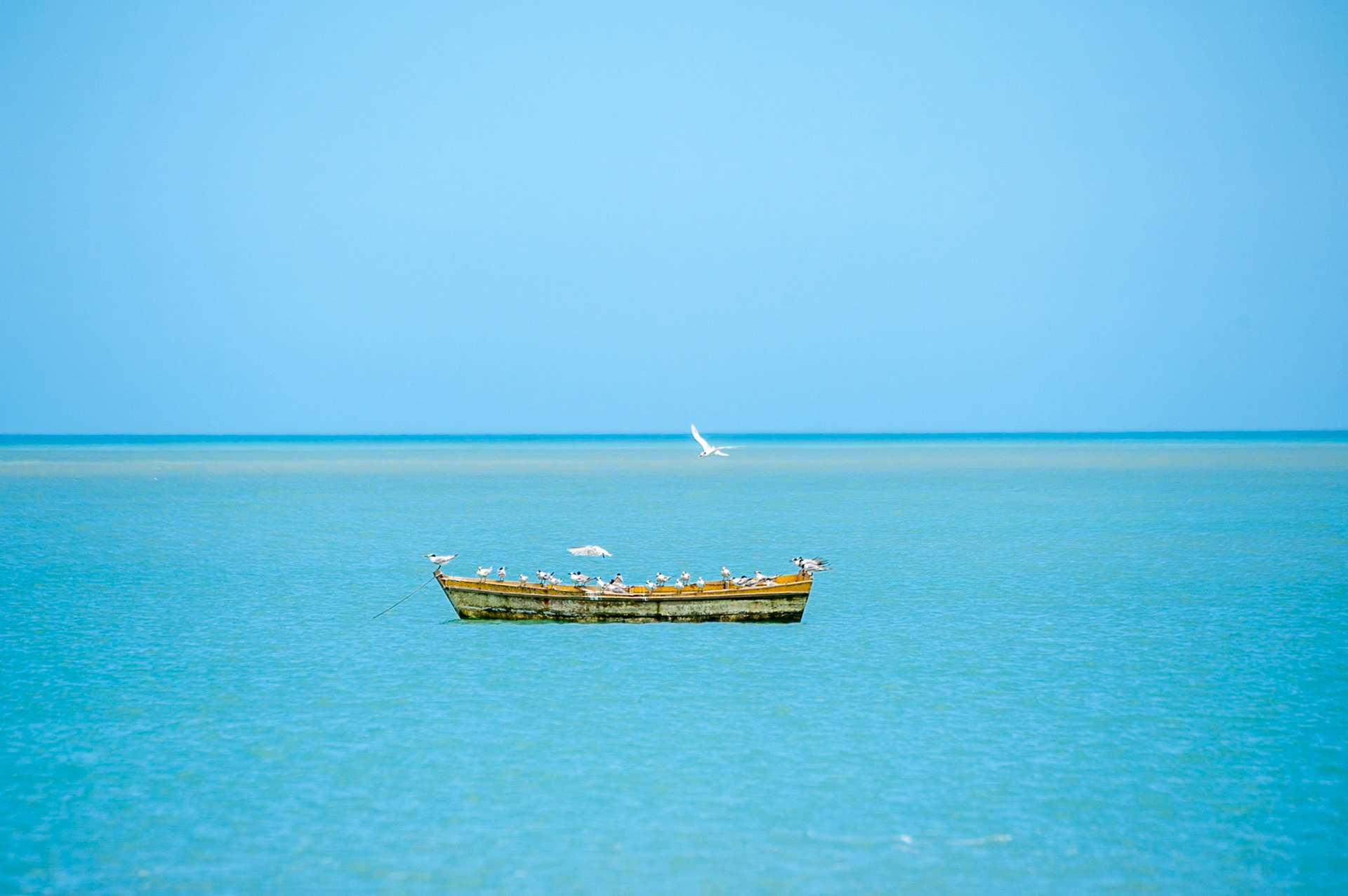 COD:1541_2011 - Ponta do Corumbau-BA