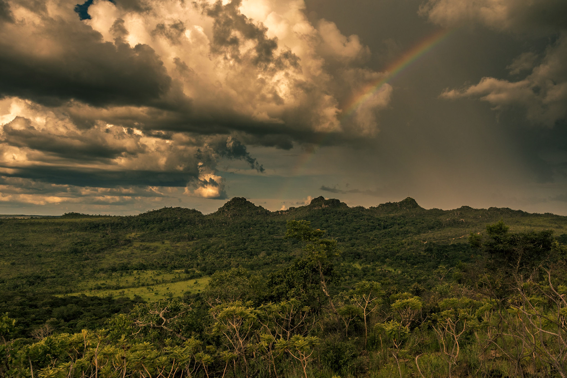COD:7687_2018 - Pq.Est.Pireneus - Pirenópolis-GO