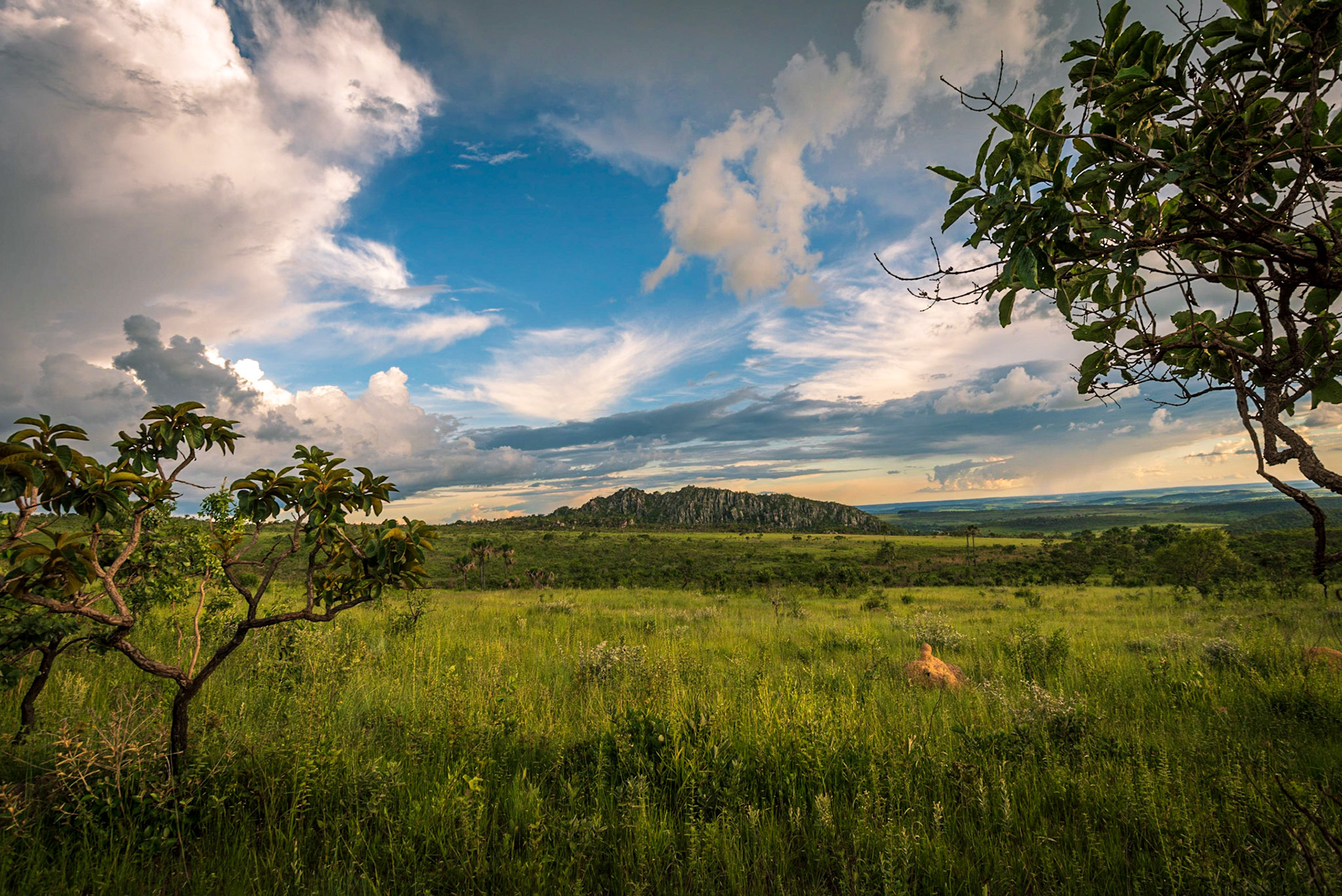 Parque dos Pireneus - Pirenopolis-GO - COD:2018_7695