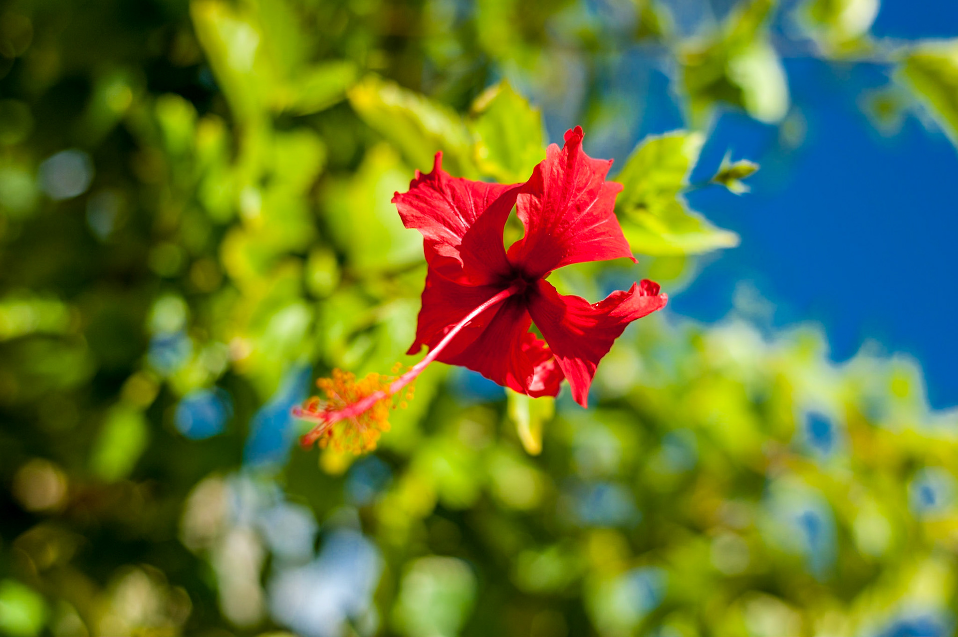 COD:1436_2011 - Prado-BA