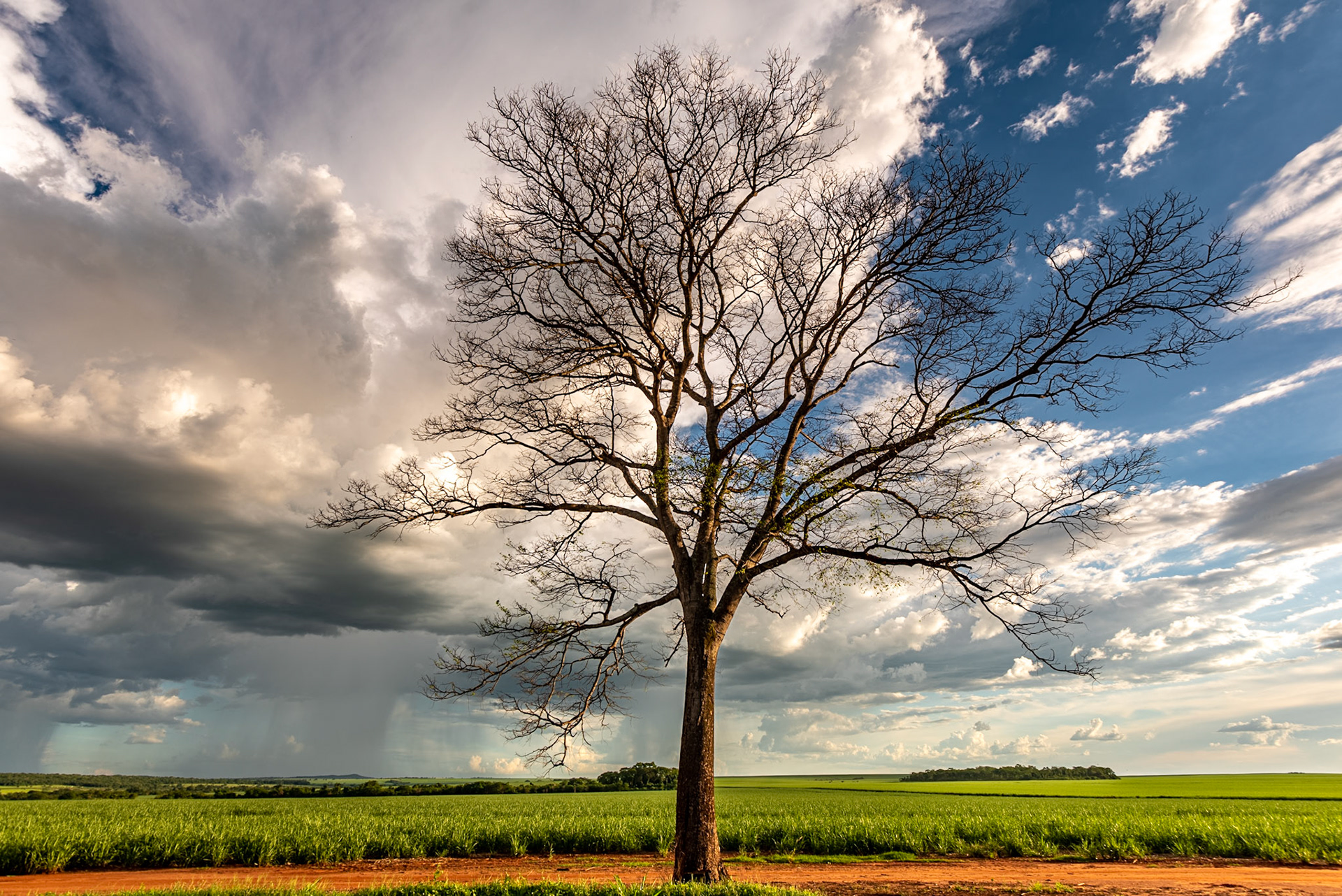 COD:0784_2019 - BR-060 - Goiás