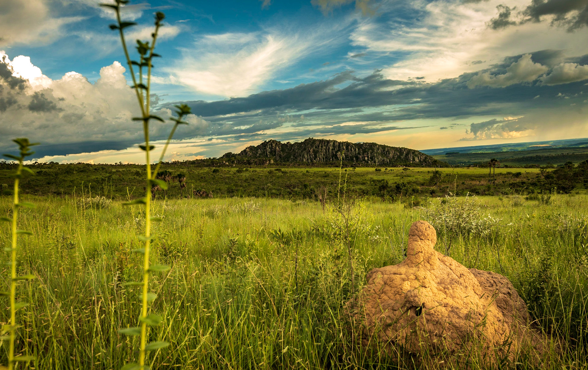 Parque dos Pireneus - Pirenopolis-GO - COD:2018_7699
