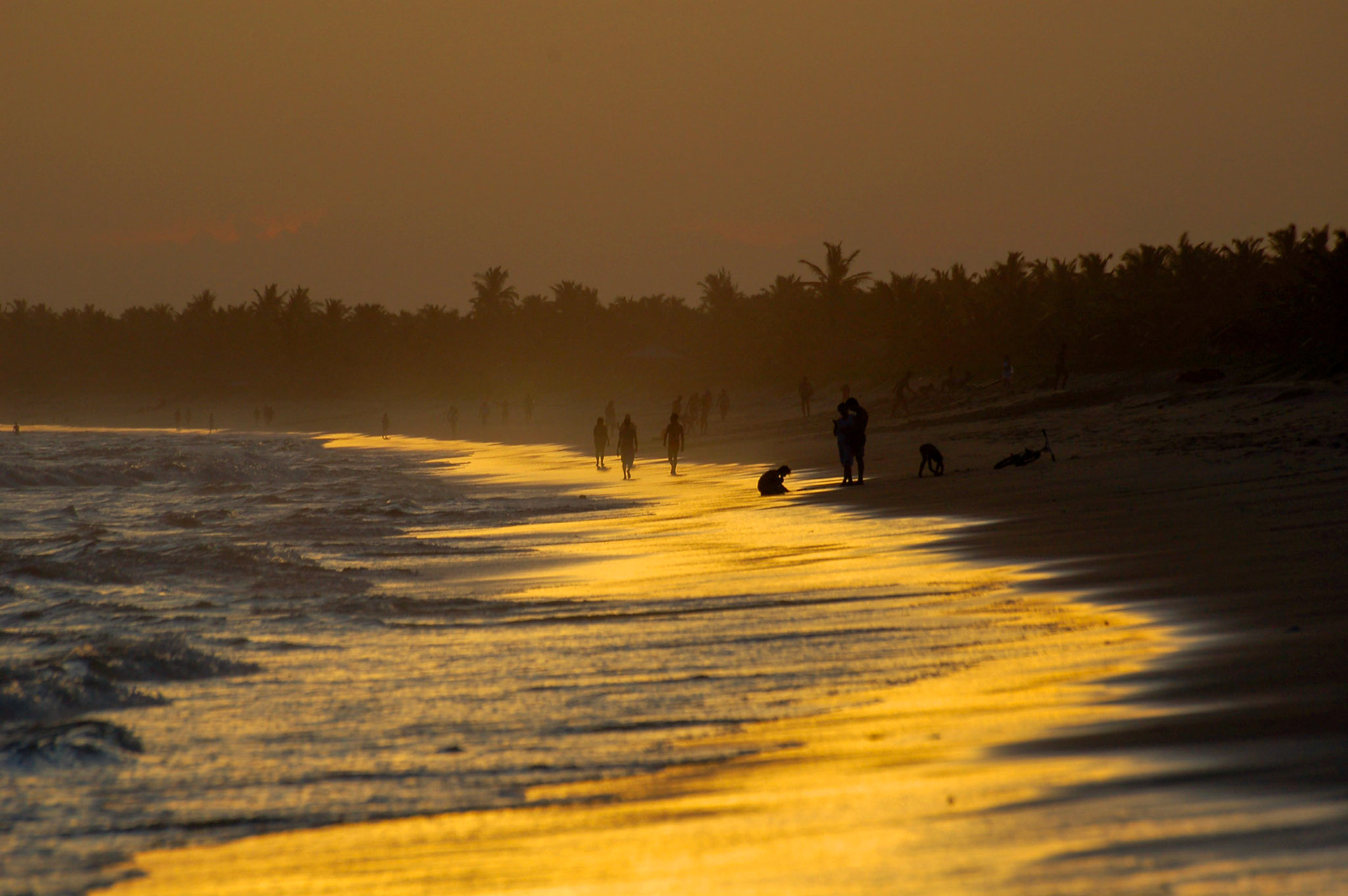 COD:0664_2007 - Dourado da tarde - Nova Vicosa-BA