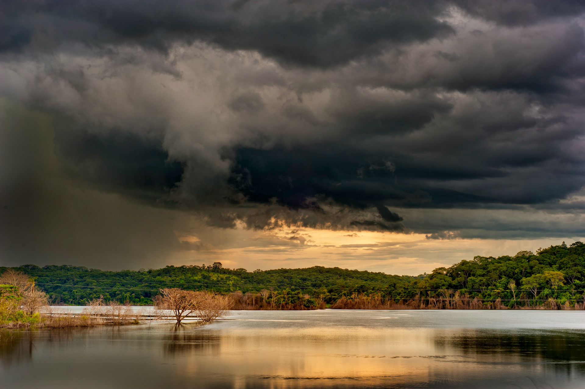COD:4369_2011 - Rep.João Leite  - Goiânia-GO