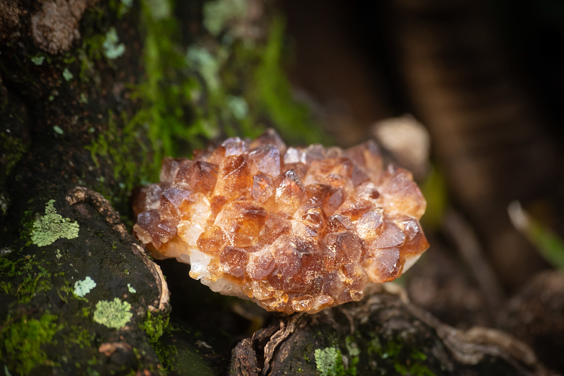 COD:8529_2019 - Goiânia-GO