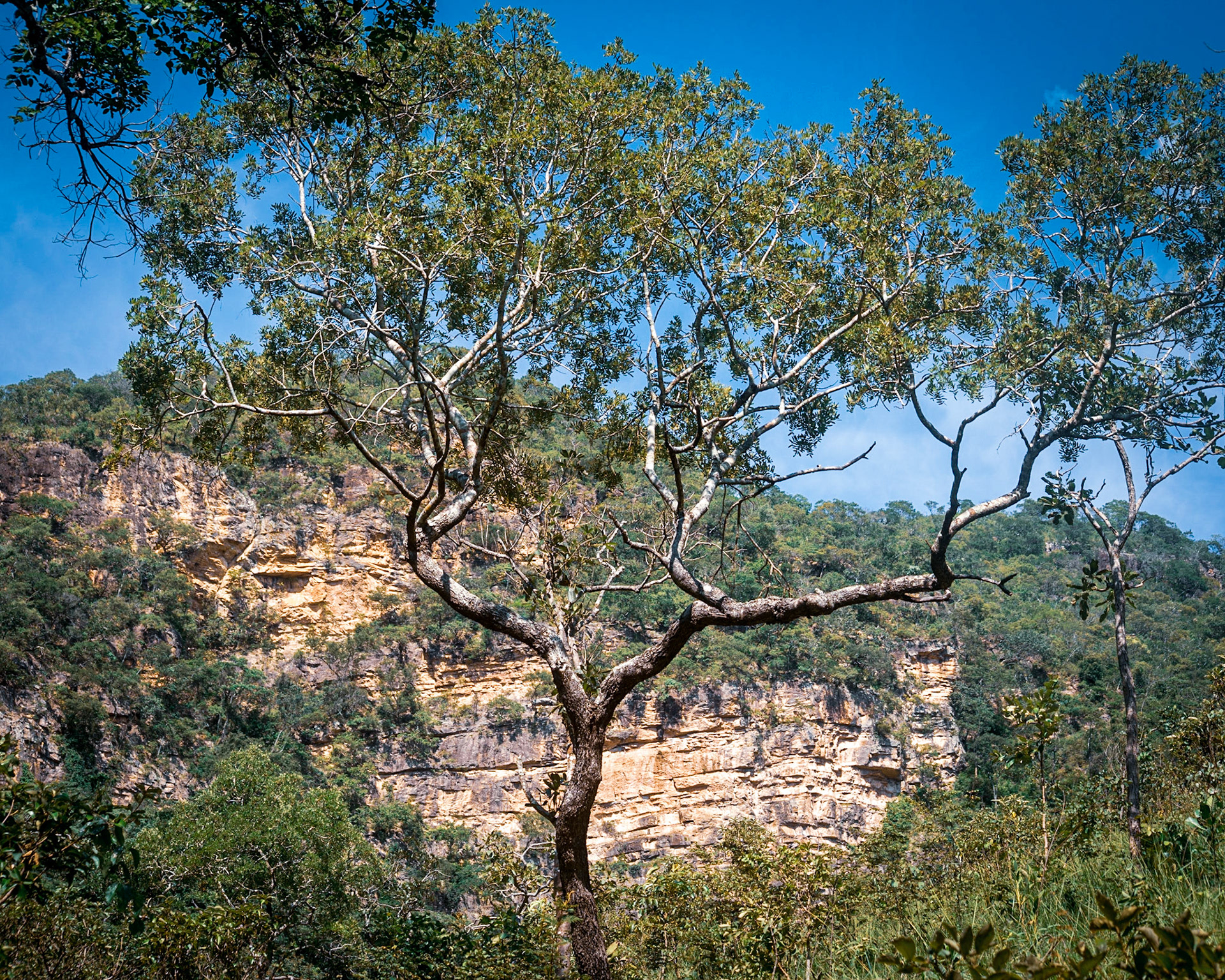 Parque do Itiquira - Formosa-GO - COD:2018_7720