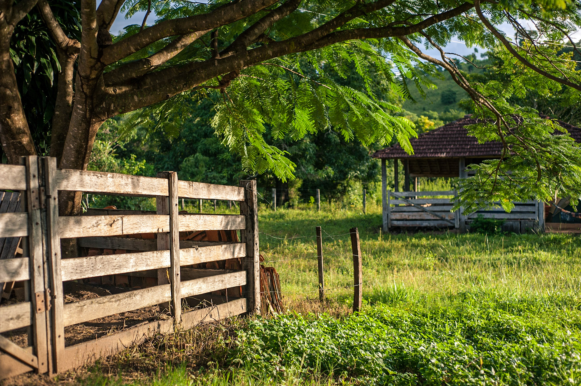 COD:2487_2011 - Corrego do Ouro-GO