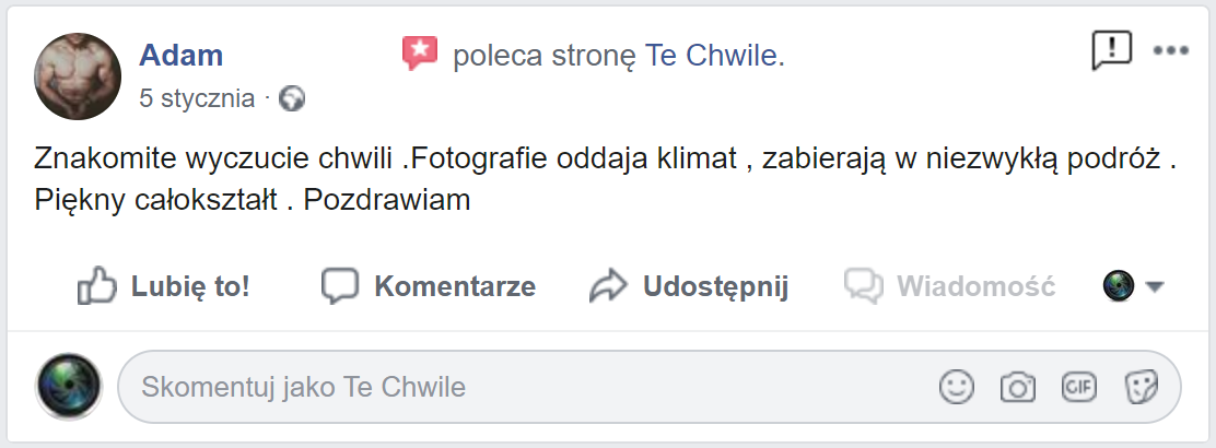 fotografia ślubna polecenia