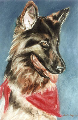 German Sheppard - Pastel