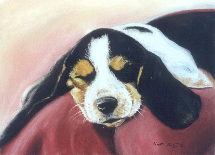 Dog Tired - Pastel