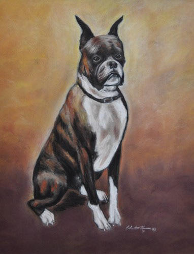 Cash - Pastel