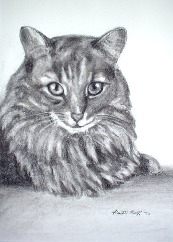 Tikka - Charcoal