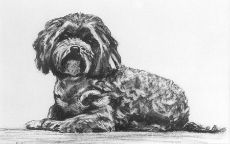 Mollie - Charcoal