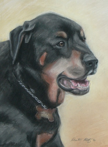 Rocky - Pastel
