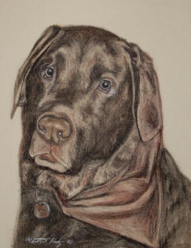 In Memory of Farmer - Pastel