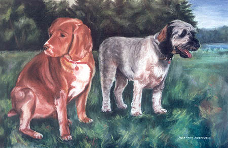 Baxter & Joey - Pastel