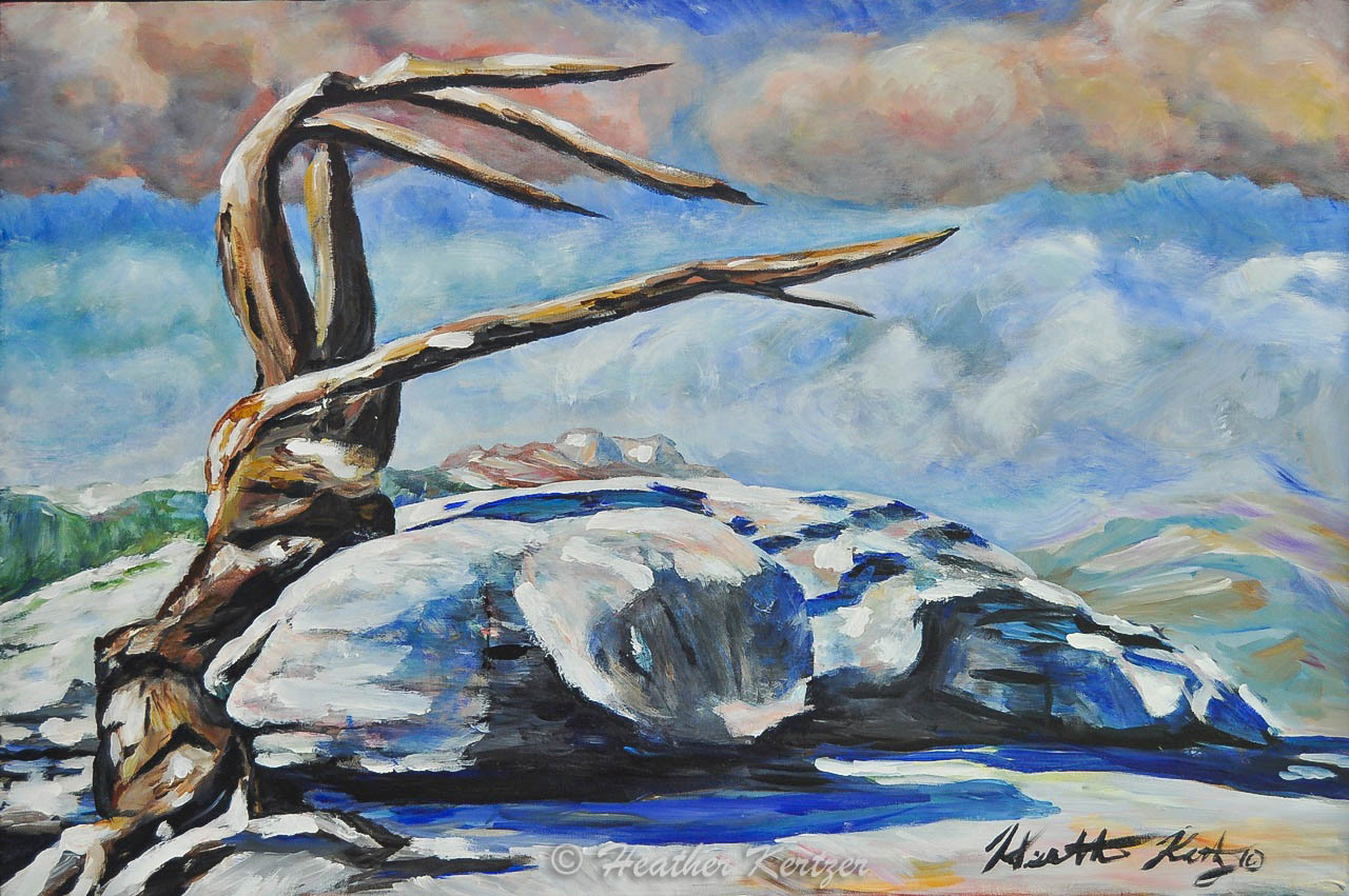 Tai Chi - 25"x35" Framed Acrylic on Canvas - $900