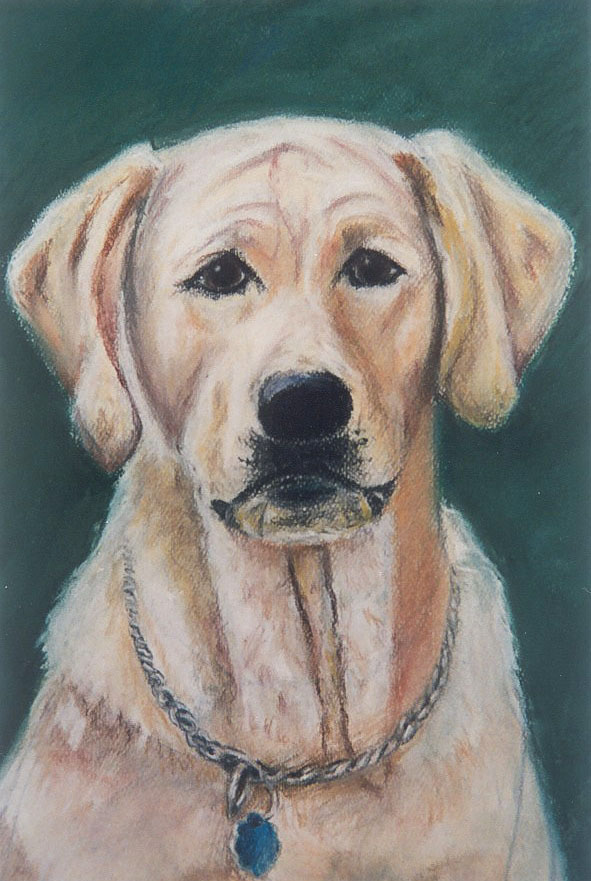 Wrinkles - Pastel