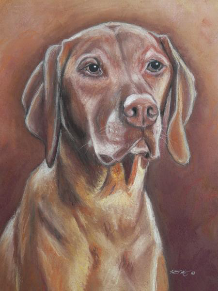 Maverick - Pastel