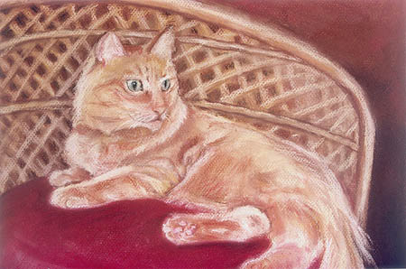 Princess Comet - Pastel