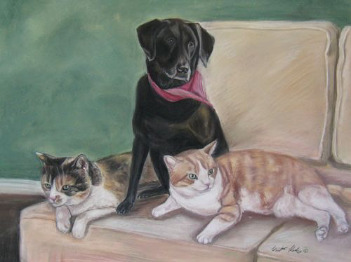 Bisous, Sadie and Kink - Pastel`