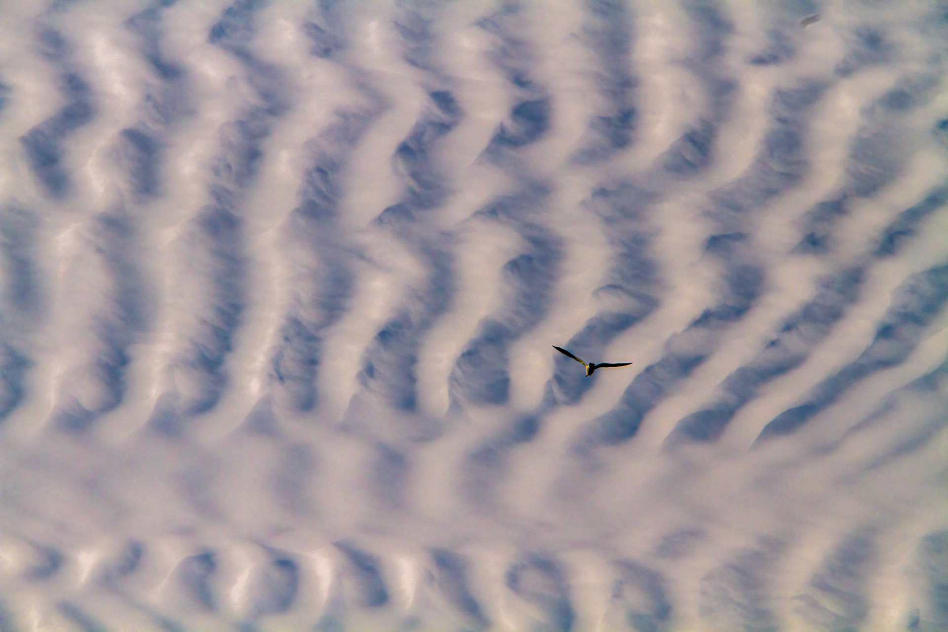 Rippled Cloud Tapistry