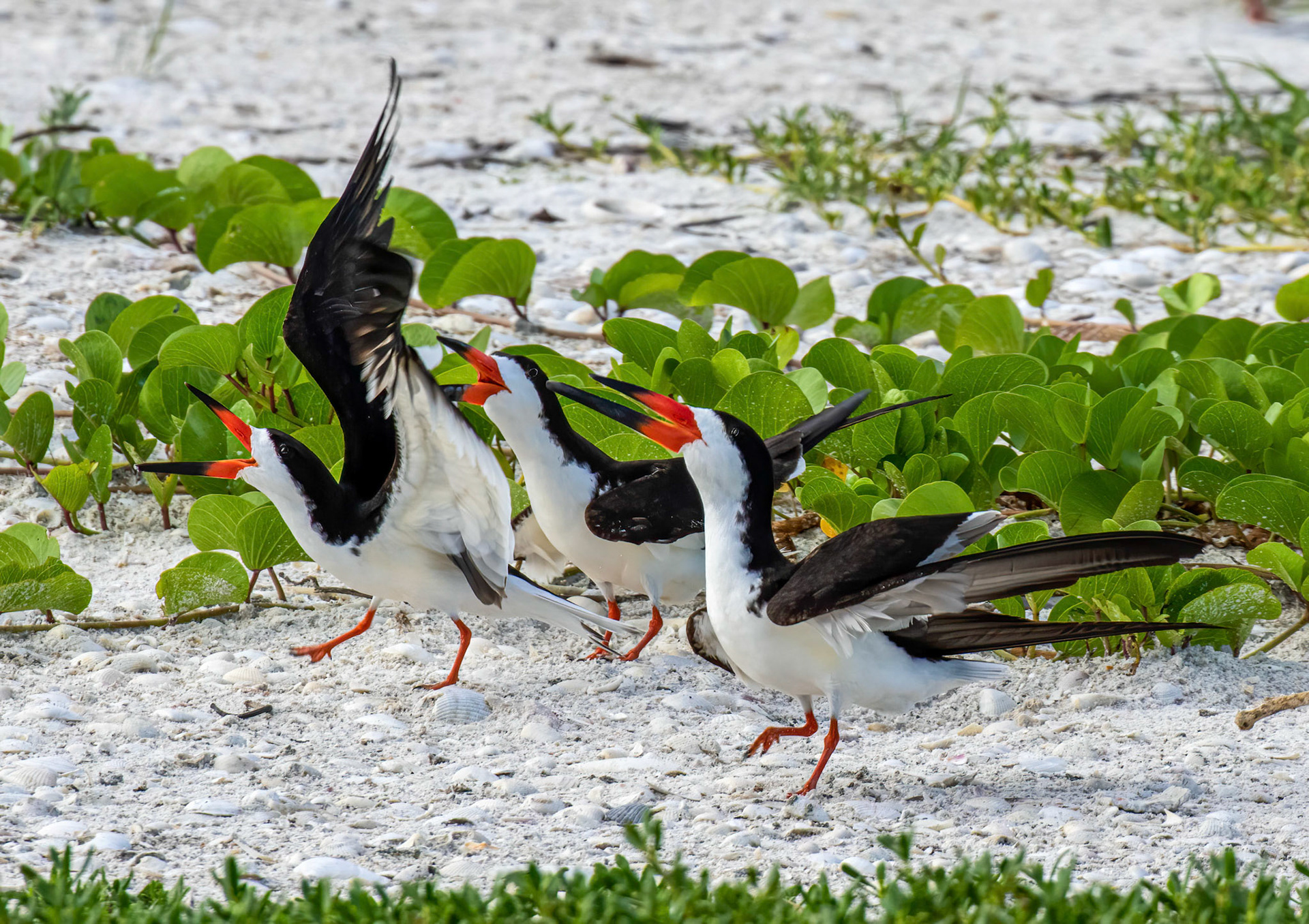 Defensive posture