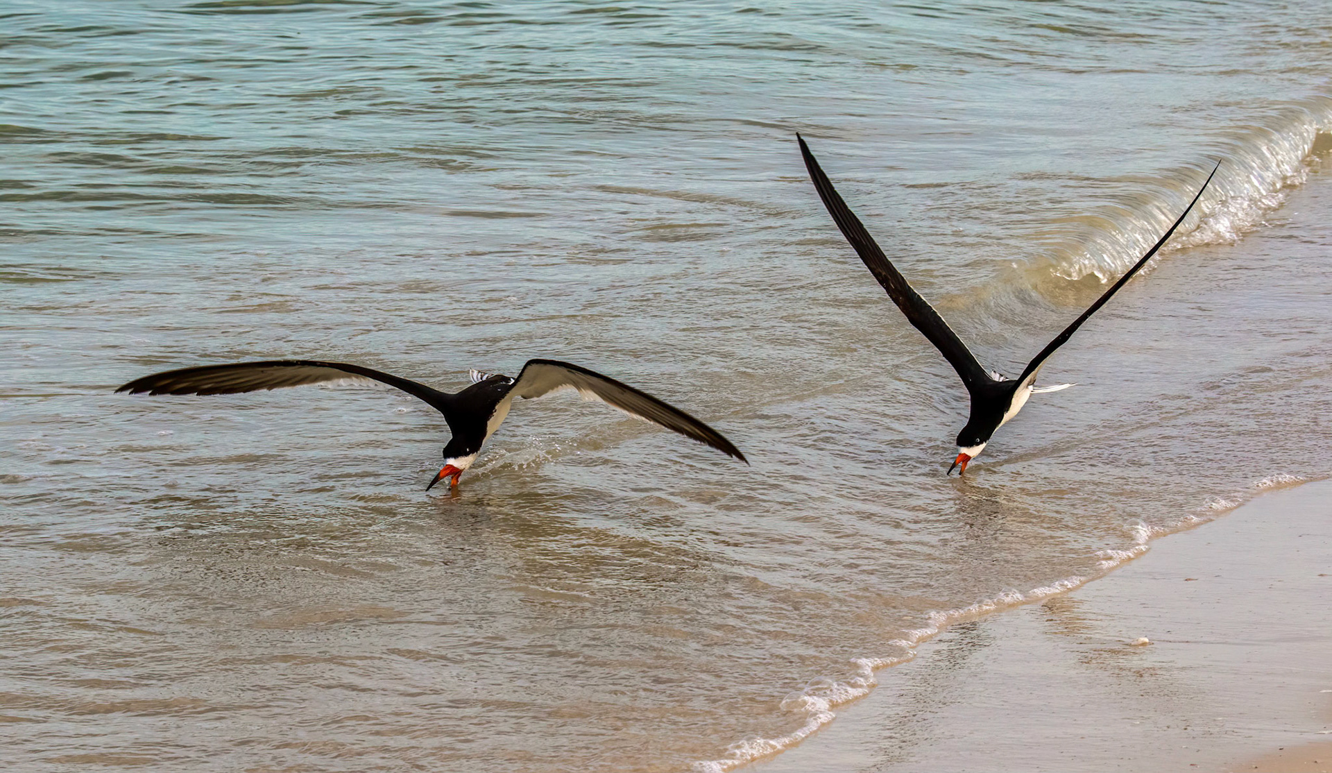 Feeding in tandem
