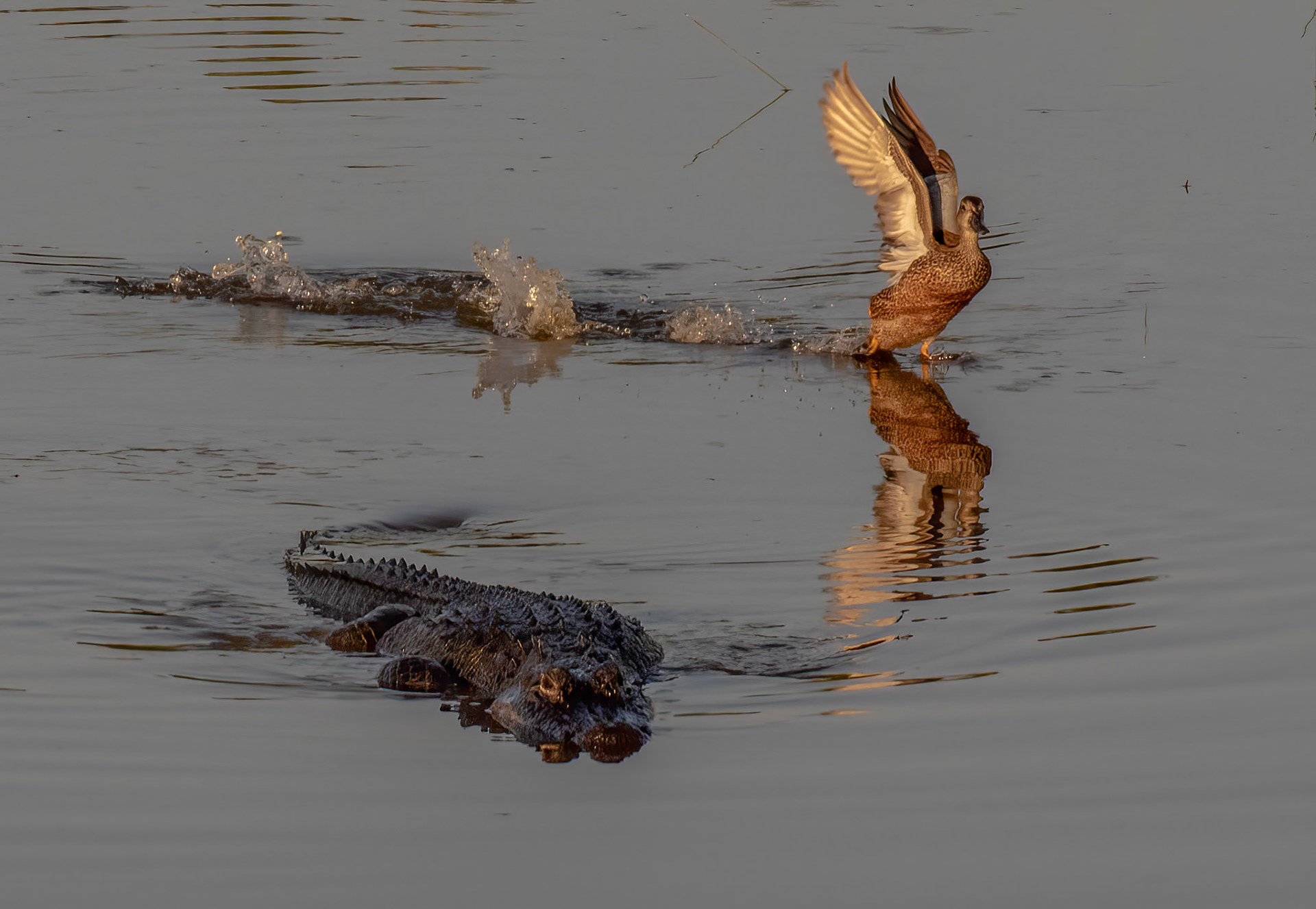 Too close for comfort