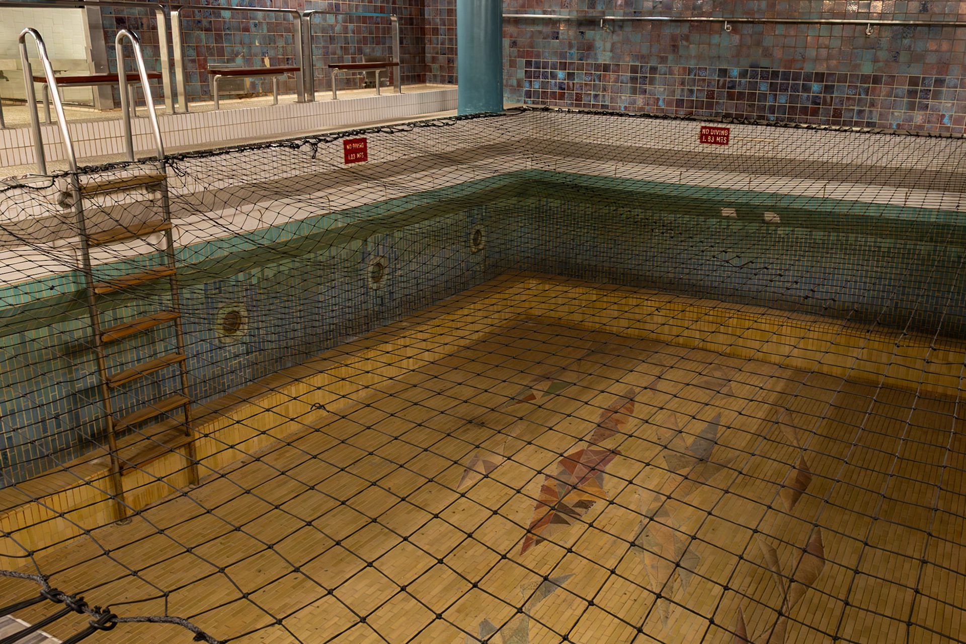 No diving