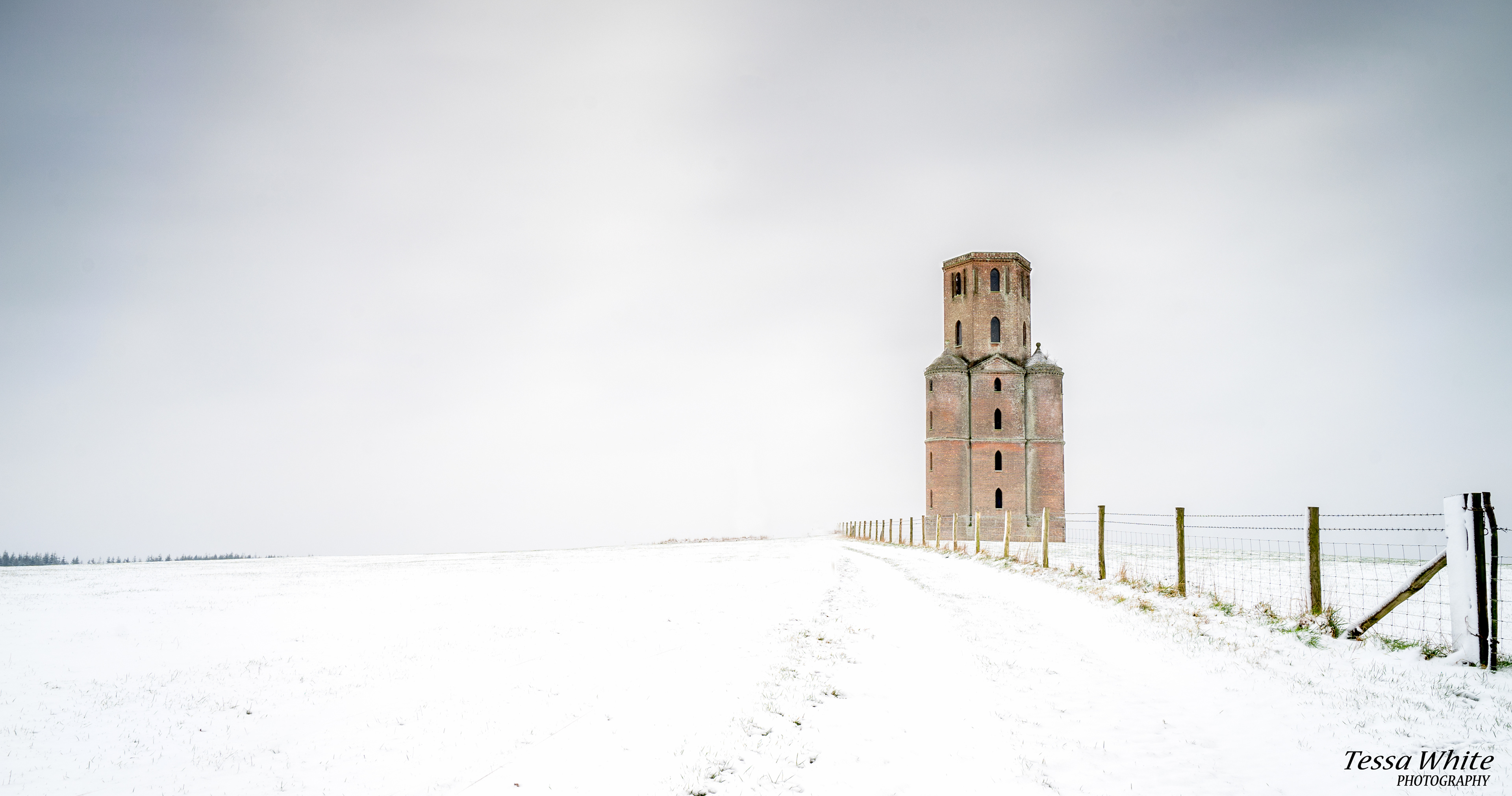 L015           Horton Tower, Dorset