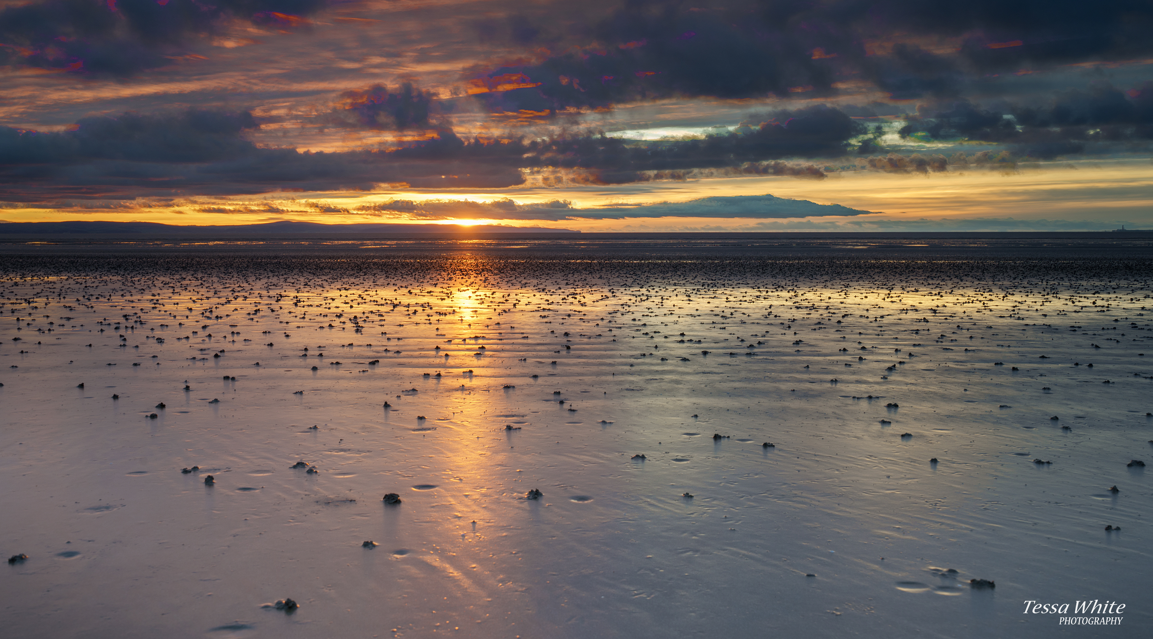  L011      Bream Sands, Somerset