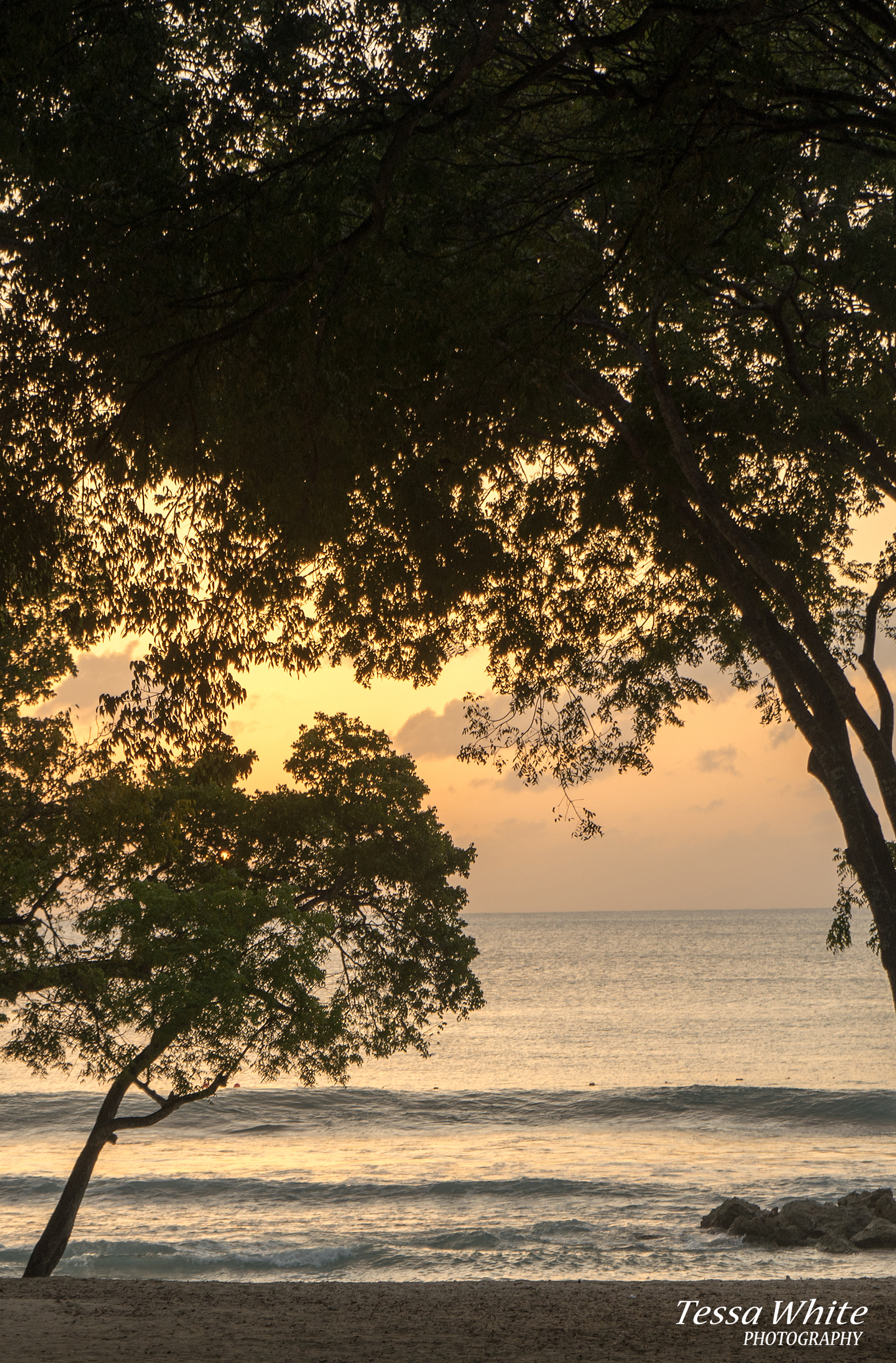 TC001     Barbados