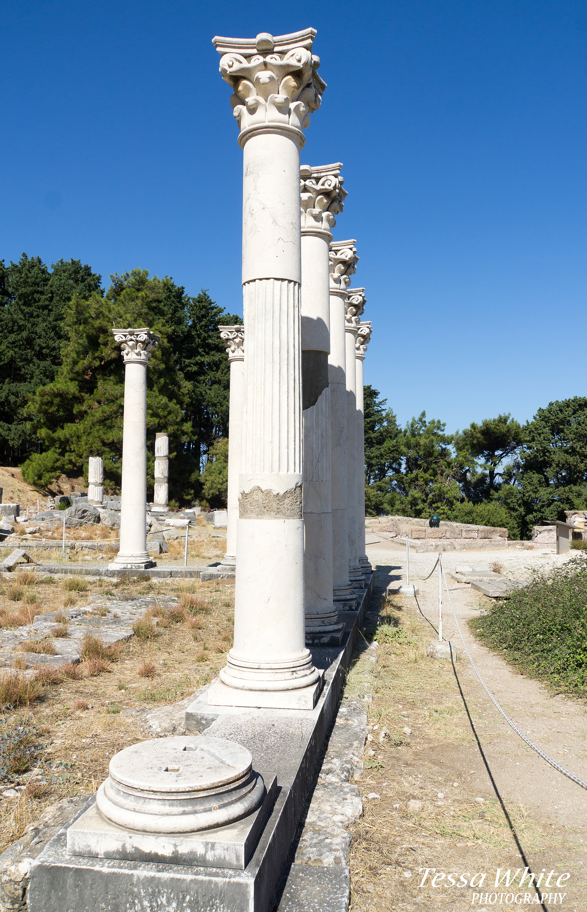 TE024   Kos