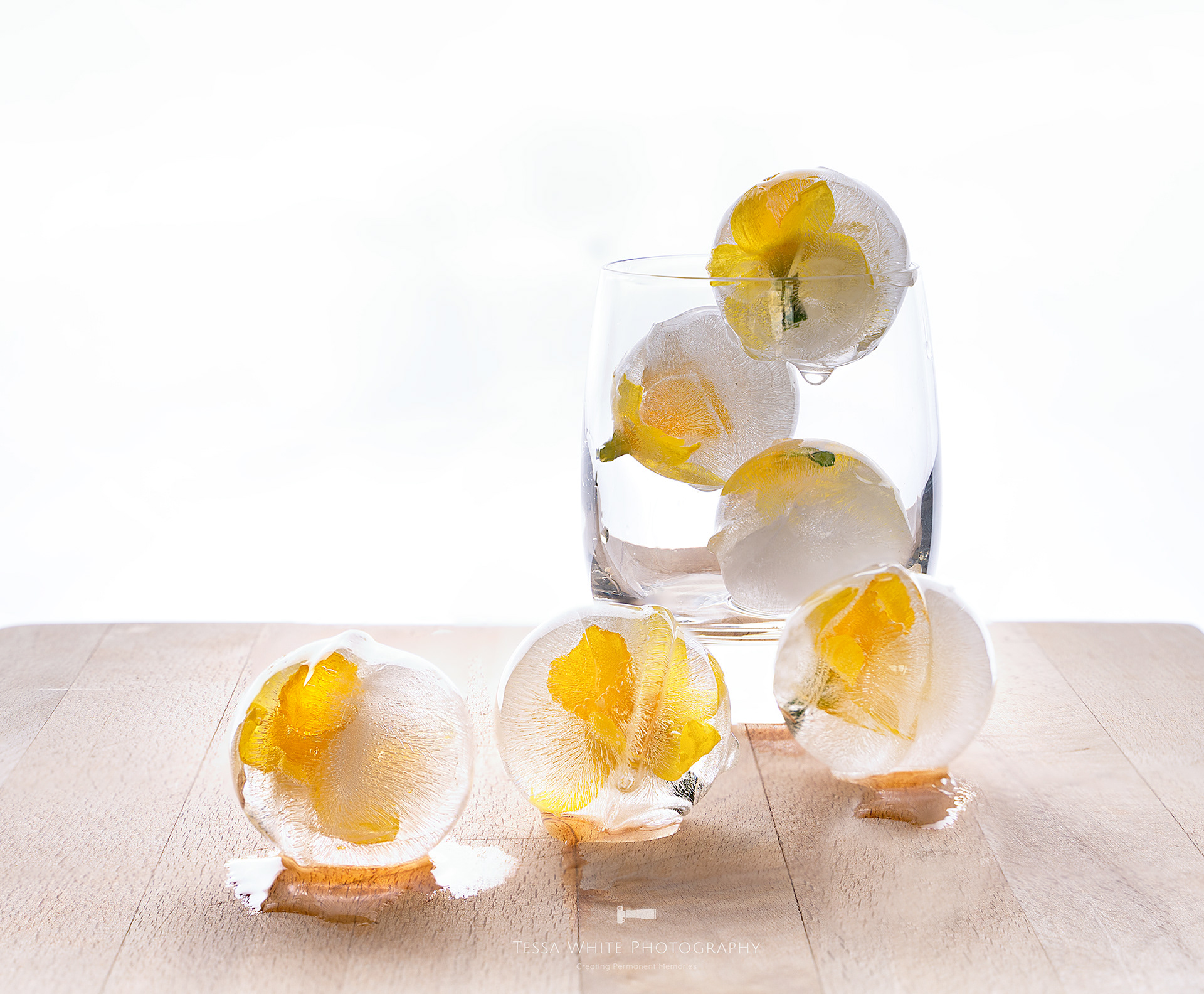 S025 Daffodil Ice Balls