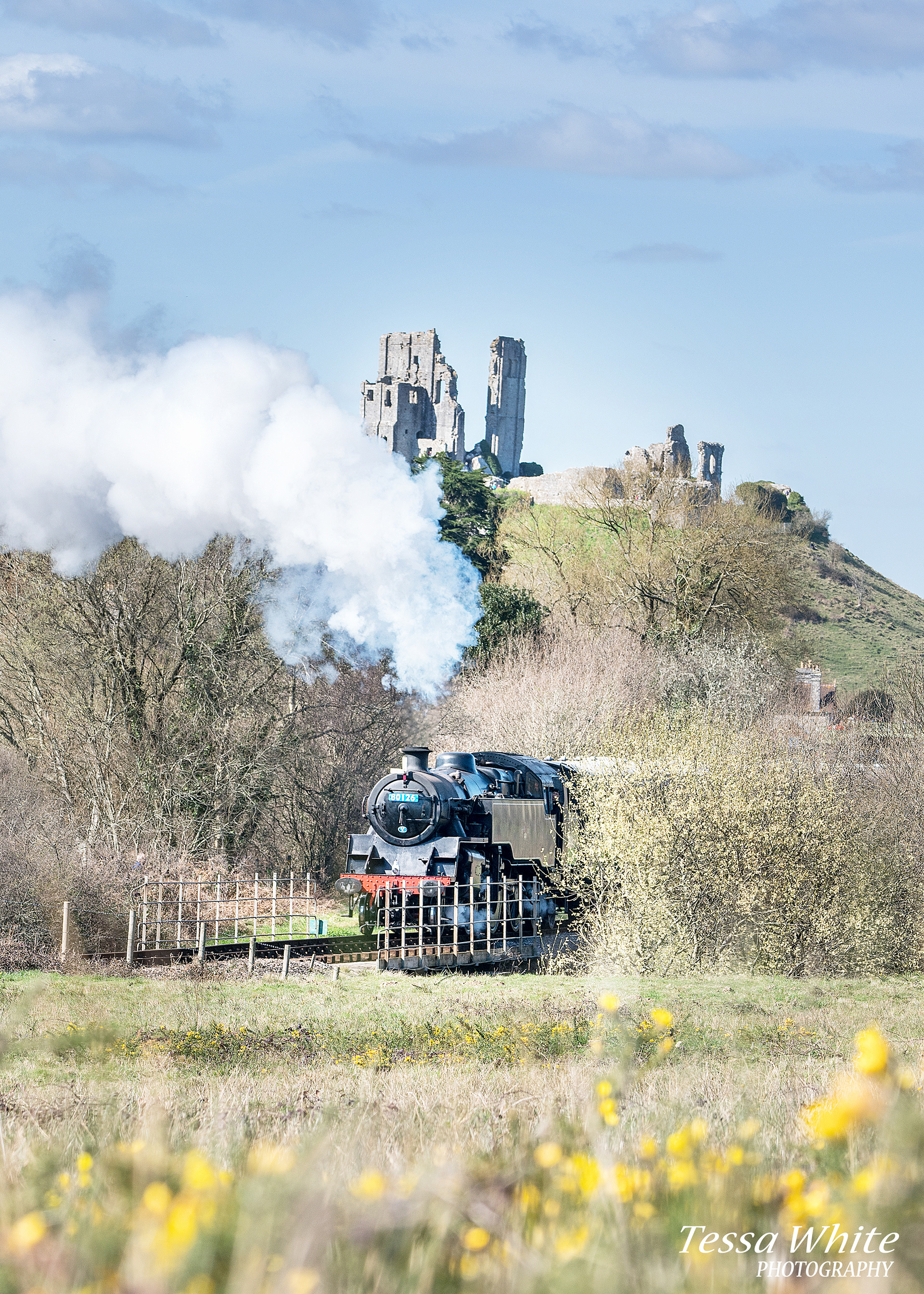 L022   Corfe Castle and the Flying Scotsman