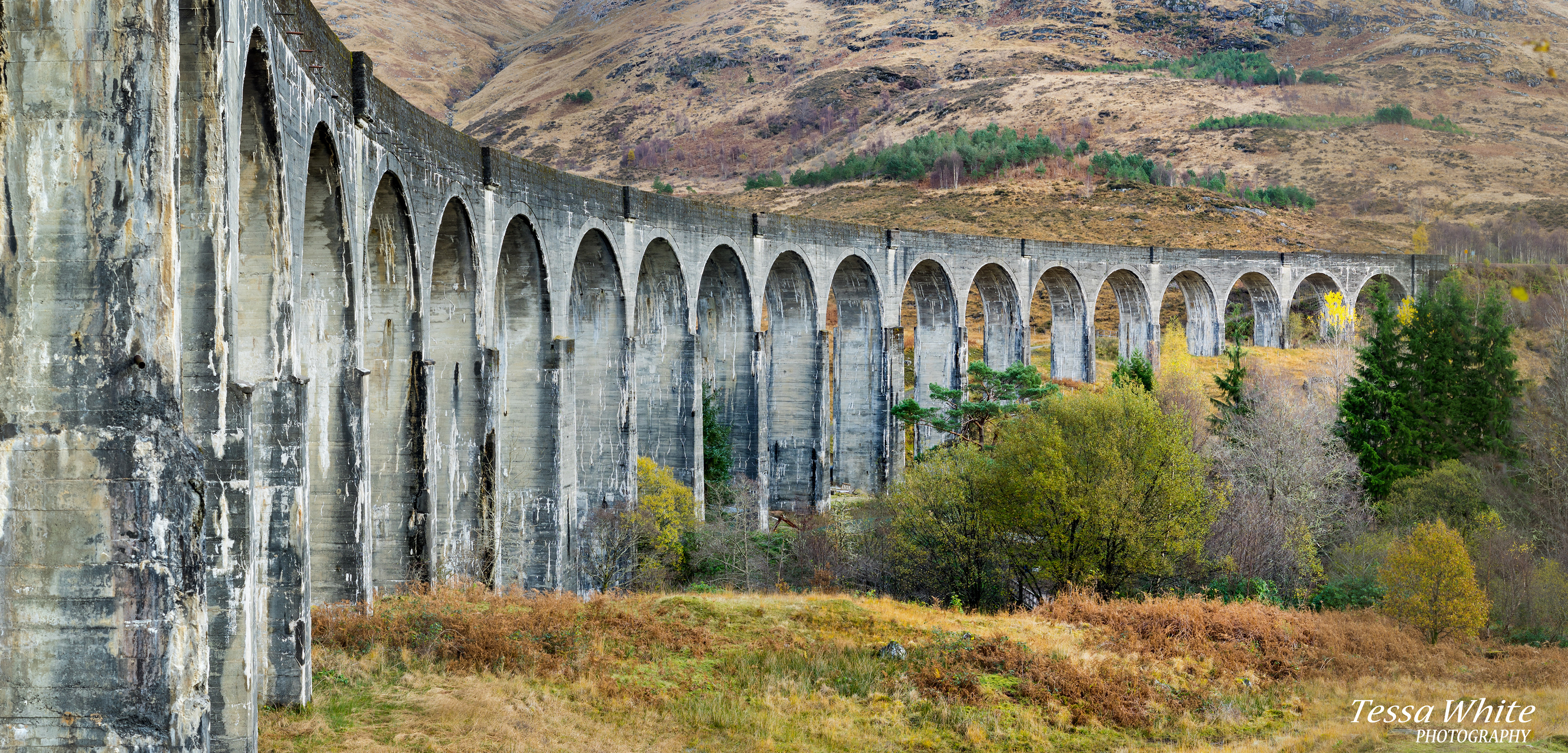 L014    Glenfinnan Viaduct, Scotland