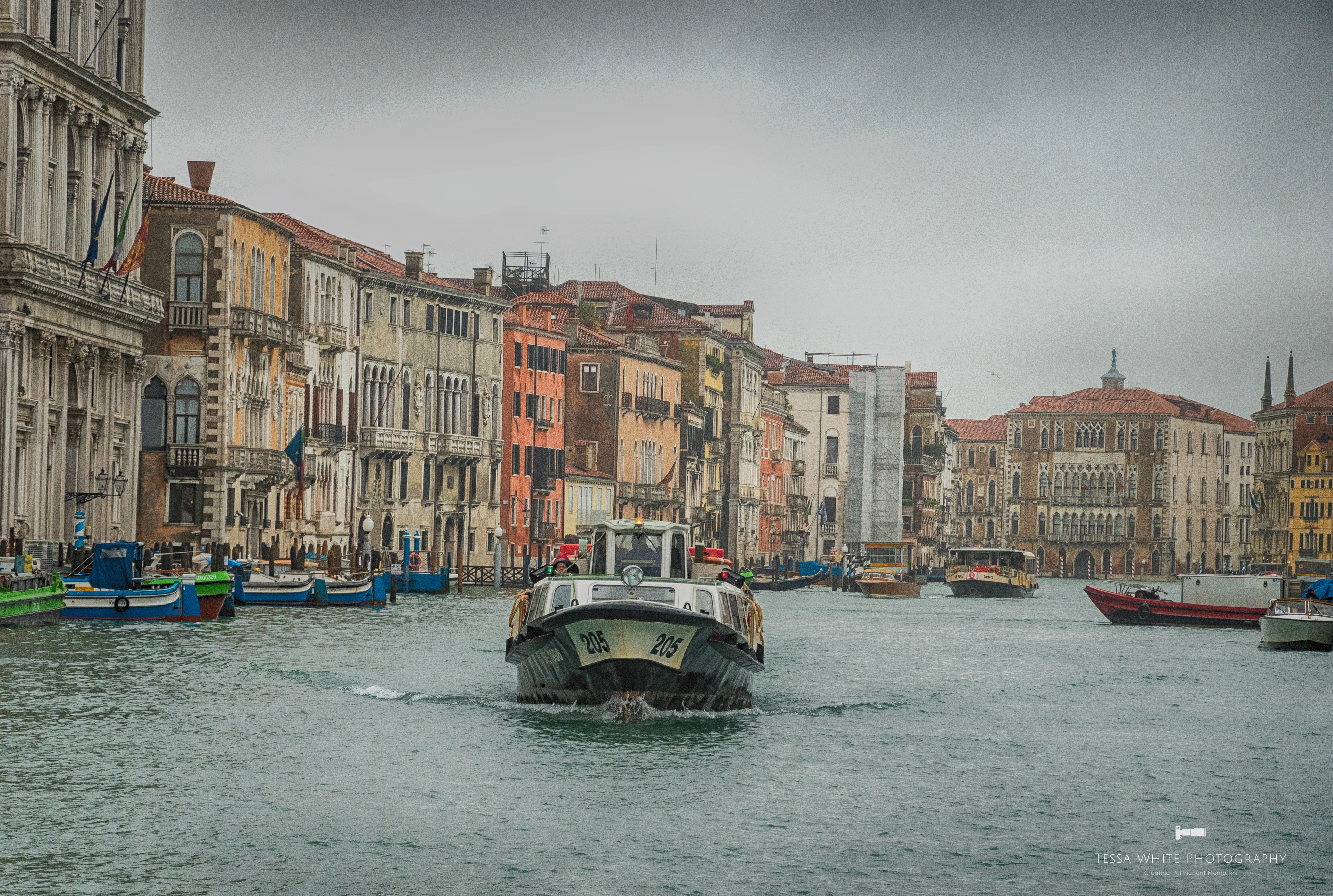 TE008     Venice