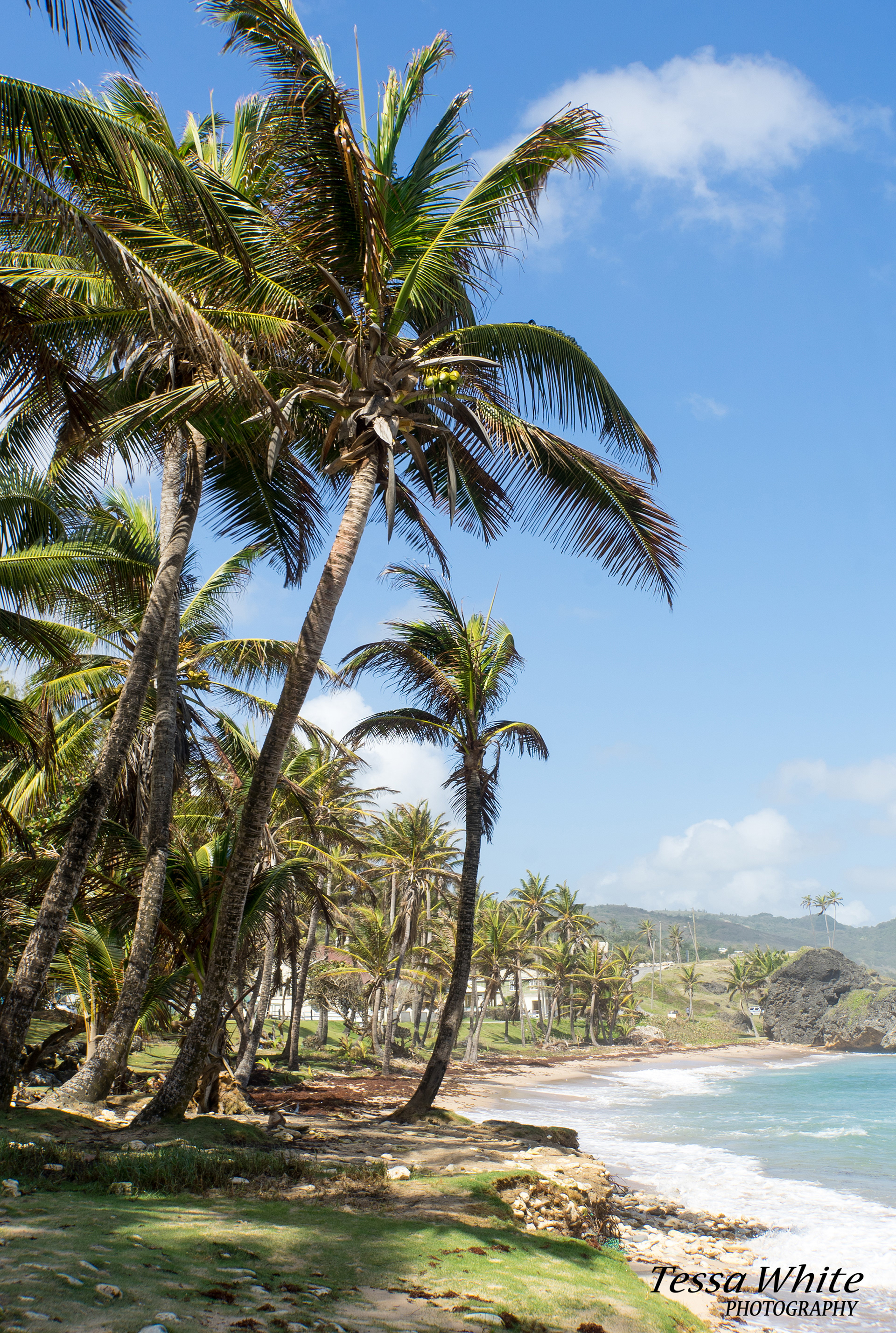 TC002   Barbados