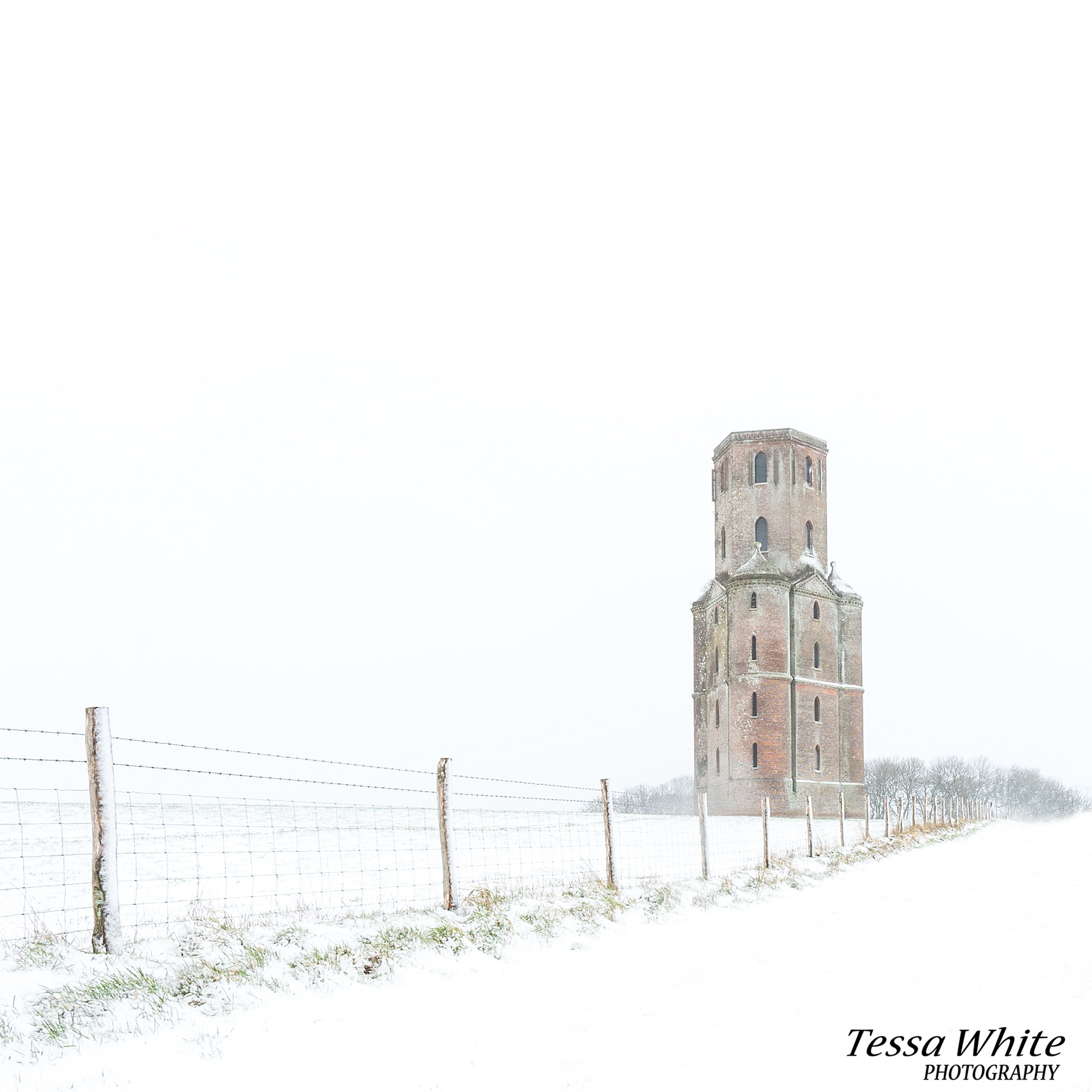  L017    Horton Tower, Dorset